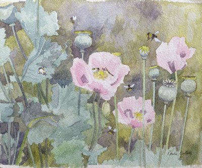 Pink poppies with bees by Rosalie Bullock